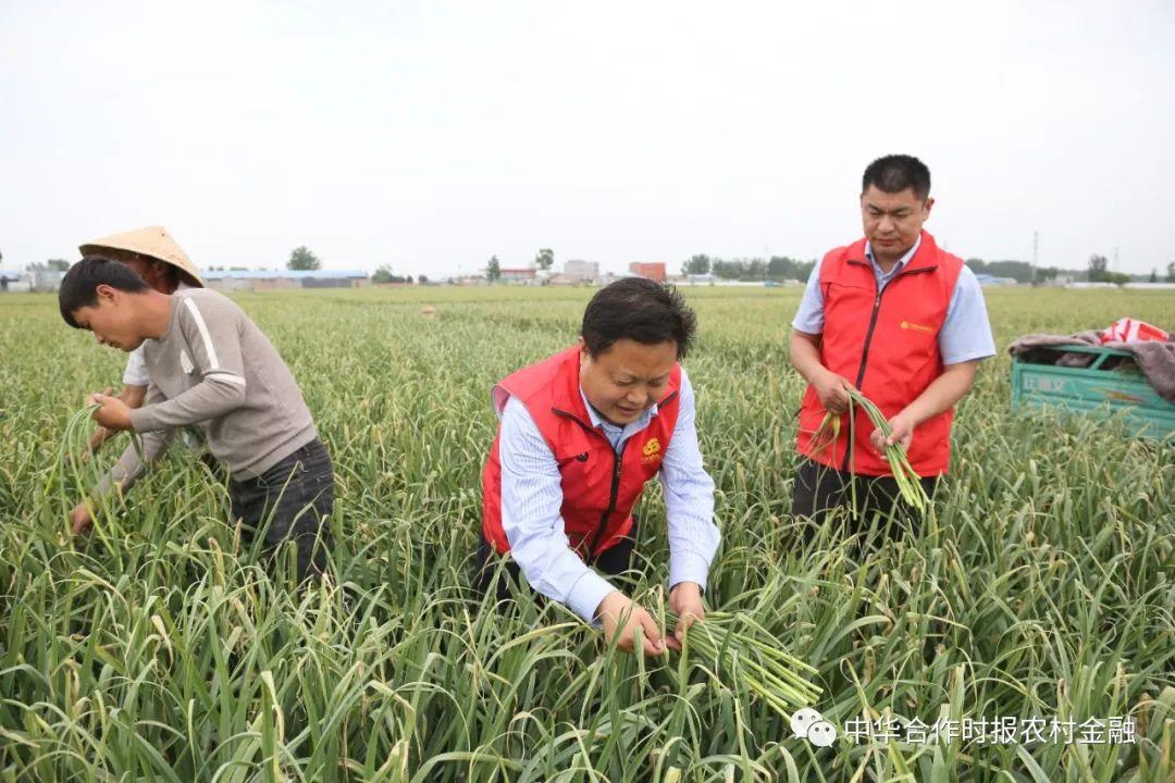 广东省调研处，推动地方发展的先锋队