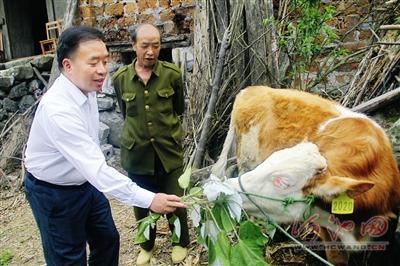 江苏华牛科技，引领科技创新的先锋力量