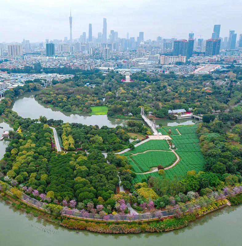 广东省环境科学院，守护绿水青山的科研先锋